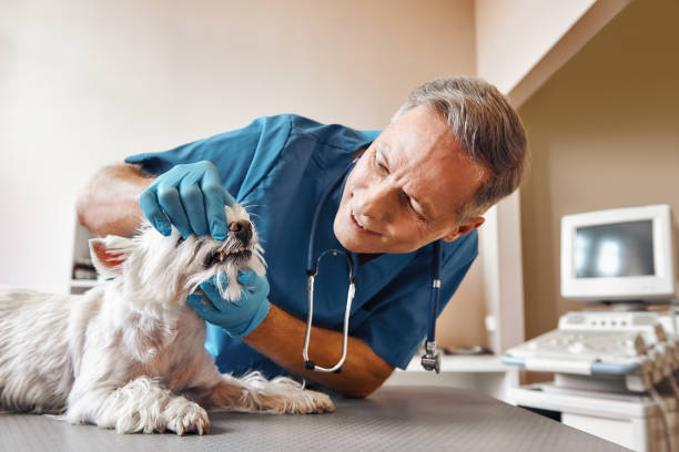 Best Cracked Tooth Emergency Dentist  in Dennison, OH